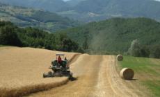 Rinnovato il contratto per quadri e impiegati agricoli: riguarda circa 30mila lavoratori in Italia