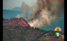 Incendi: domato rogo all'isola d'Elba, impiegati 2 canadair