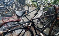 Tutti incollati alla tv a vedere la finale: i ladri fanno razzia di bici