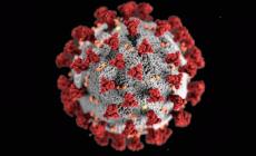 Continua l'altalena dei contagi: a Parma nessun nuovo caso, in regione sono 76 in pi&ugrave;