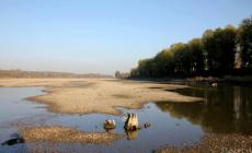L'Autorità del fiume Po: resta lo spettro della siccità in Emilia Romagna, Parmense compreso