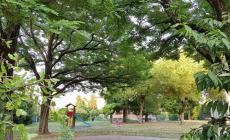 Manifesto San Leonardo: "Il Piano verde del Comune? Nel nostro quartiere situazione molto peggiorata"