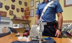 Il cane antidroga Taxi scova la marijuana: arrestato 21enne a Borgotaro