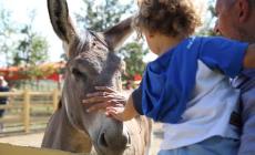 Successo per il Rural Festival: 40mila persone all'evento dedicato alle famiglie - Foto