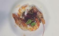 L'insetto nel piatto: all'International Food Festival showcooking con grilli e camole