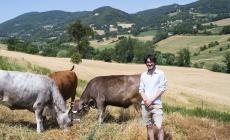 «Se la natura è rispettata, ti ripaga con mille soddisfazioni»
