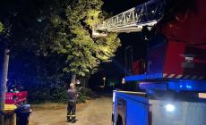 Maxi-grandinata e tromba d'aria: Provincia e Anci chiedono lo stato di calamità naturale. Oltre 40 interventi dei vigili del fuoco nel Parmense