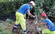 Un esercito di volontari per ripristinare la «Fattoria la Rebecca»