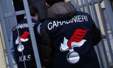 Bimbo nato morto, un fascicolo sul giallo dell'autopsia: Nas in ospedale