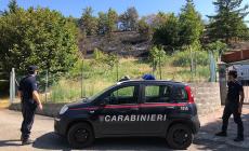 Traversetolo,  brucia una ceppaia e scoppia un incendio: indagato