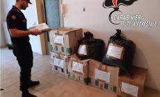 Cannabis: sequestrati 30 chili di infiorescenze nella Bassa reggiana