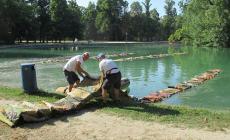 «Water Art» nel laghetto del Parco Ducale: via (in anticipo) la metà delle opere esposte - Foto