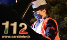 Calci, pugni e morsi a due guardie giurate durante un concerto all'aperto: arrestato