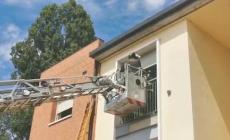 Nessuna traccia dei proprietari, salvataggio "spettacolare" per due Labrador 