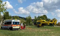 Punto da una vespa va in shock anafilattico, salvato dai soccorsi
