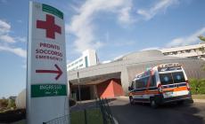 Calestano: 14 persone intossicate dai funghi, in sei all'ospedale