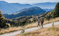 Ultime dolcezze d'estate tra i sentieri e i vigneti