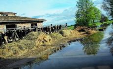 Ravadese: azienda agricola sott'acqua