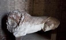Quei due leoni che ruggiscono nel degrado