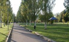 Aggressione al Falcone e Bosellino, il caso arriva in Senato