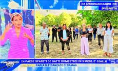 50 gatti scomparsi a Lesignano: il mistero su Canale 5 dalla D'Urso: "Segnalate ogni movimento sospetto"