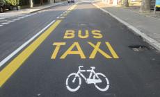 Via Zarotto, bici gi&ugrave; dai marciapiedi: ora la ciclabile &egrave; in strada - Foto