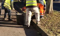 Alla ricerca di progetti utili alla collettività che coinvolgano chi ha il reddito di cittadinanza: aperto il bando