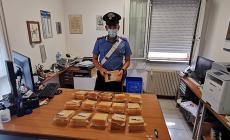 Il ladro con la passione del parmigiano 30 mesi: ne ruba 20 chili e poi finisce in manette