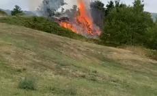 Asti: colpo di calore,  uomo salvato da un trapianto di fegato