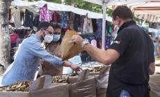 Fiera del fungo: bancarelle e mostre, la kermesse al weekend conclusivo
