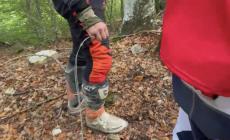 Filo spinato teso tra due alberi: motociclista ferito