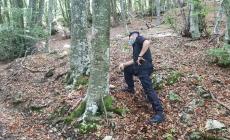 Motociclista ferito, il filo spinato è sparito: indagano i carabinieri