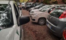 Strada Lagoni chiusa: fungaioli sul piede di guerra