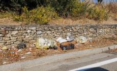 Collecchio, una provinciale di... rifiuti: "E' così da almeno tre settimane" - Foto