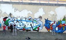Around Banksy e la street art a Parma - Video