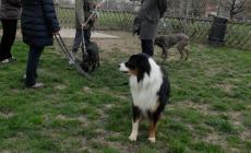 Parco Ducale, in 100 al sindaco: "Una nuova ed adeguata area cani aiuterebbe anche il contrasto allo spaccio"