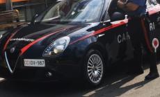 Felegara, ladri entrano in camera