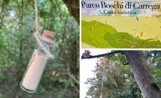 Blowing in the Woods, messaggi nascosti nei Boschi di Carrega
