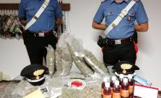 Fidenza, arrestato con 5kg di droga un 21enne brasiliano