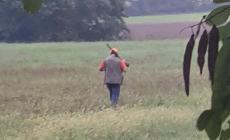 &laquo;Sparano troppo vicino alle case&raquo;. Polemica social contro i cacciatori