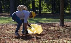 I volontari di Barilla e Conad puliscono il parco Ducale -  Foto 