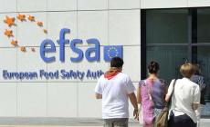 Efsa, metà del Cda sarà rinnovato: gli aspiranti si facciano avanti