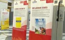 Parma a misura dei disabili:  apre la mostra  