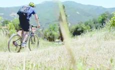 Troppe e-bike sui sentieri. Arrivano nuove regole?
