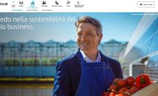Agroalimentare, UniCredit e SACE lanciano il "Bond Food Mezzogiorno"