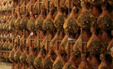 I distretti contro la crisi: nel Parmense crescono alimentare e impiantistica