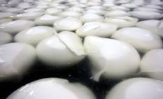 Nac Parma: sequestro a Milano di mozzarella di bufala