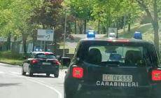 Dopo aver già provato il blitz una prima volta, rapina e ferisce con un coltello un commesso: 15enne finisce in comunità 