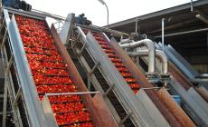 Distretti dell'Emilia Romagna, continua la crescita dell'export nel primo trimestre (+11,8%). Ottimo l'agroalimentare di Parma: +16,5%