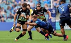 Le Zebre possono tornare ad allenarsi rispettando certe regole